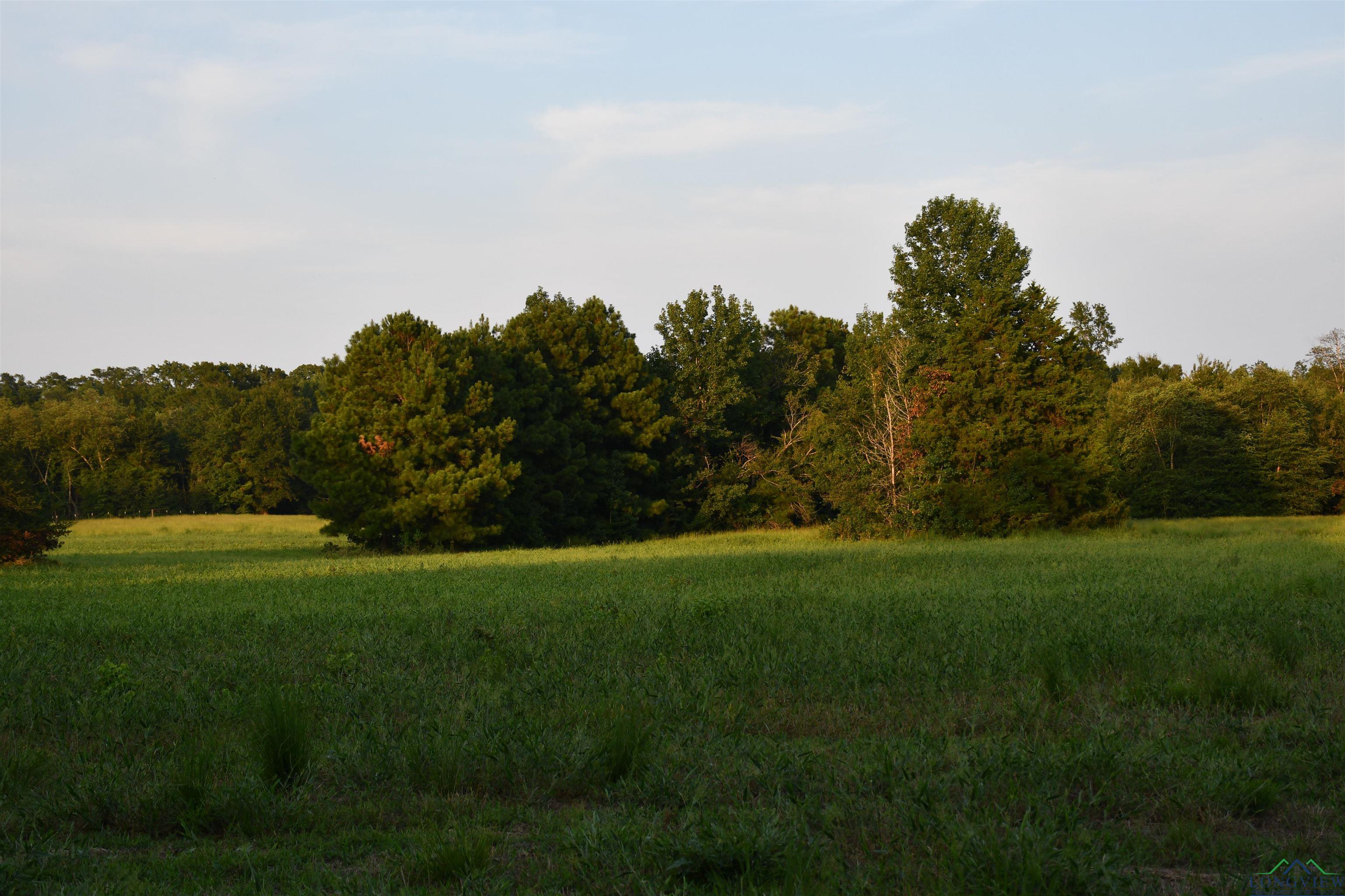 N Fm 1002 E, Winnsboro, Texas image 15