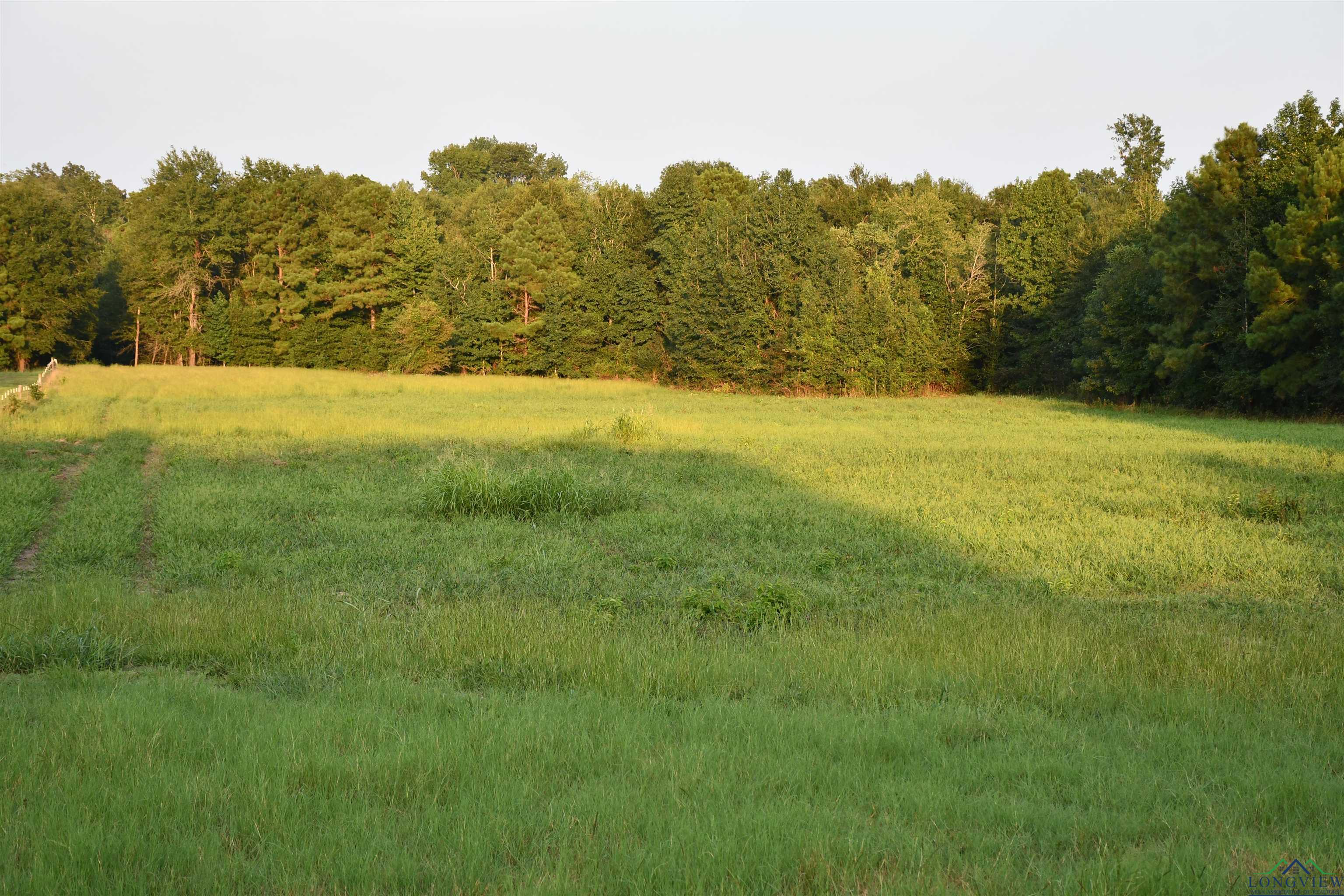 N Fm 1002 E, Winnsboro, Texas image 14