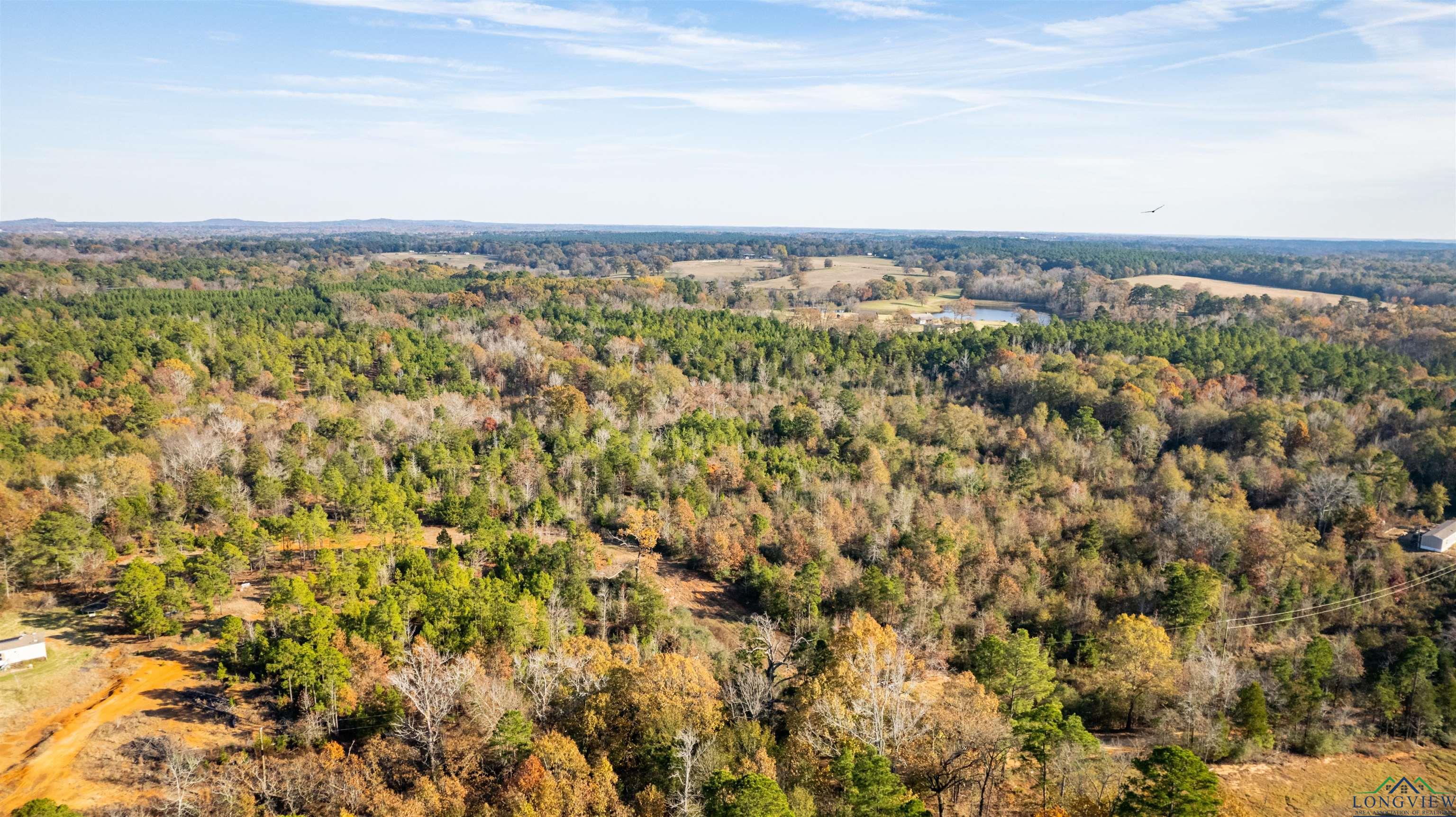 Tbd Orange Rd, Big Sandy, Texas image 3