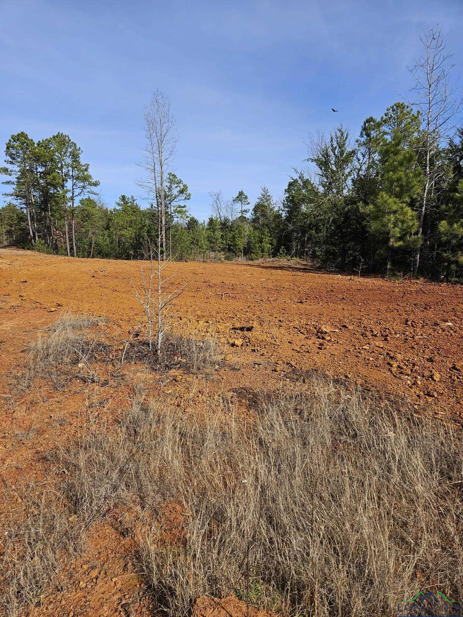 Tbd Orange Rd, Big Sandy, Texas image 11