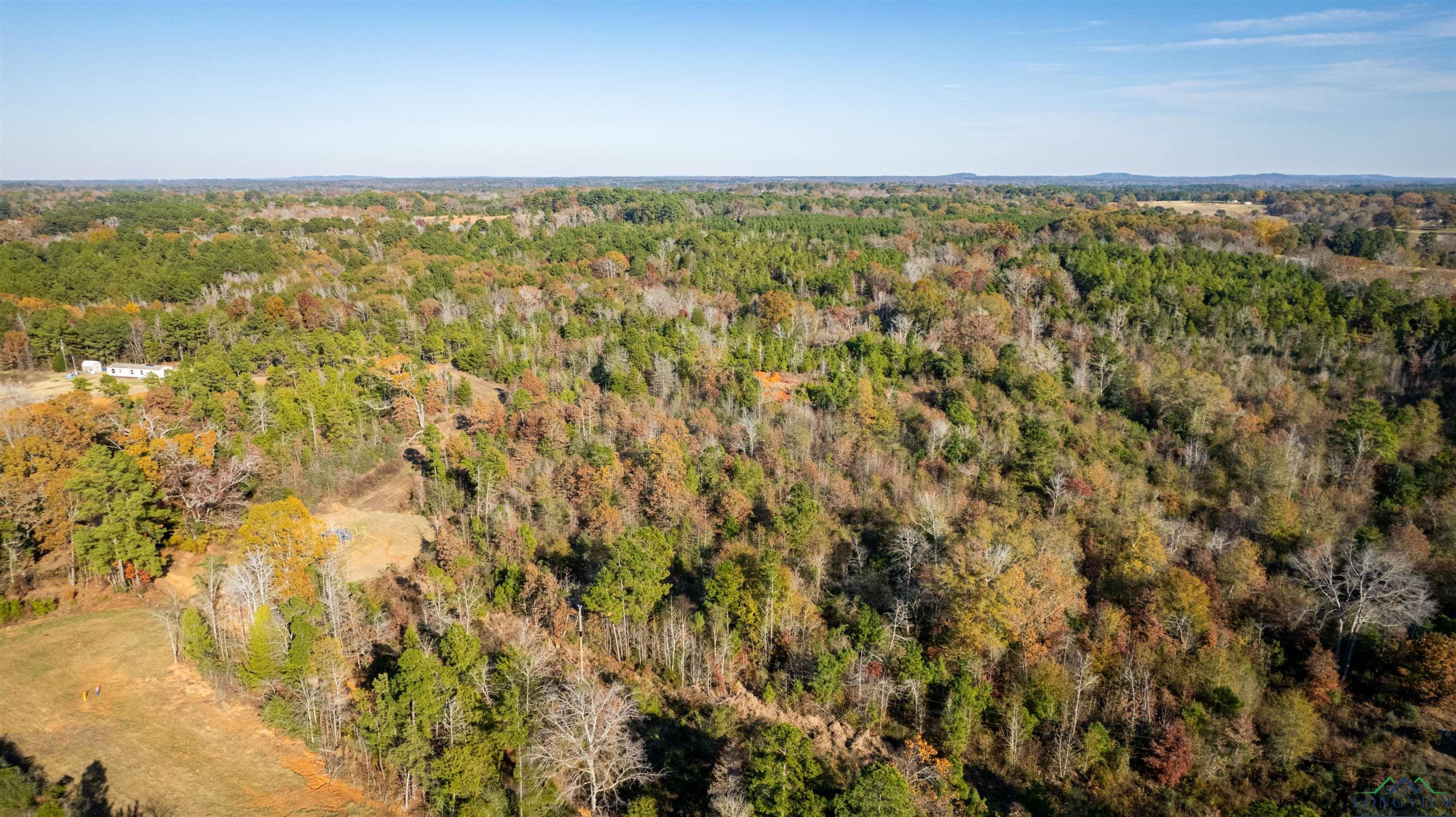 Tbd Orange Rd, Big Sandy, Texas image 1