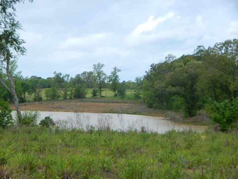 Vacant Land For Sale - TBD Thyme Rd<br/> Diana, TX 75640