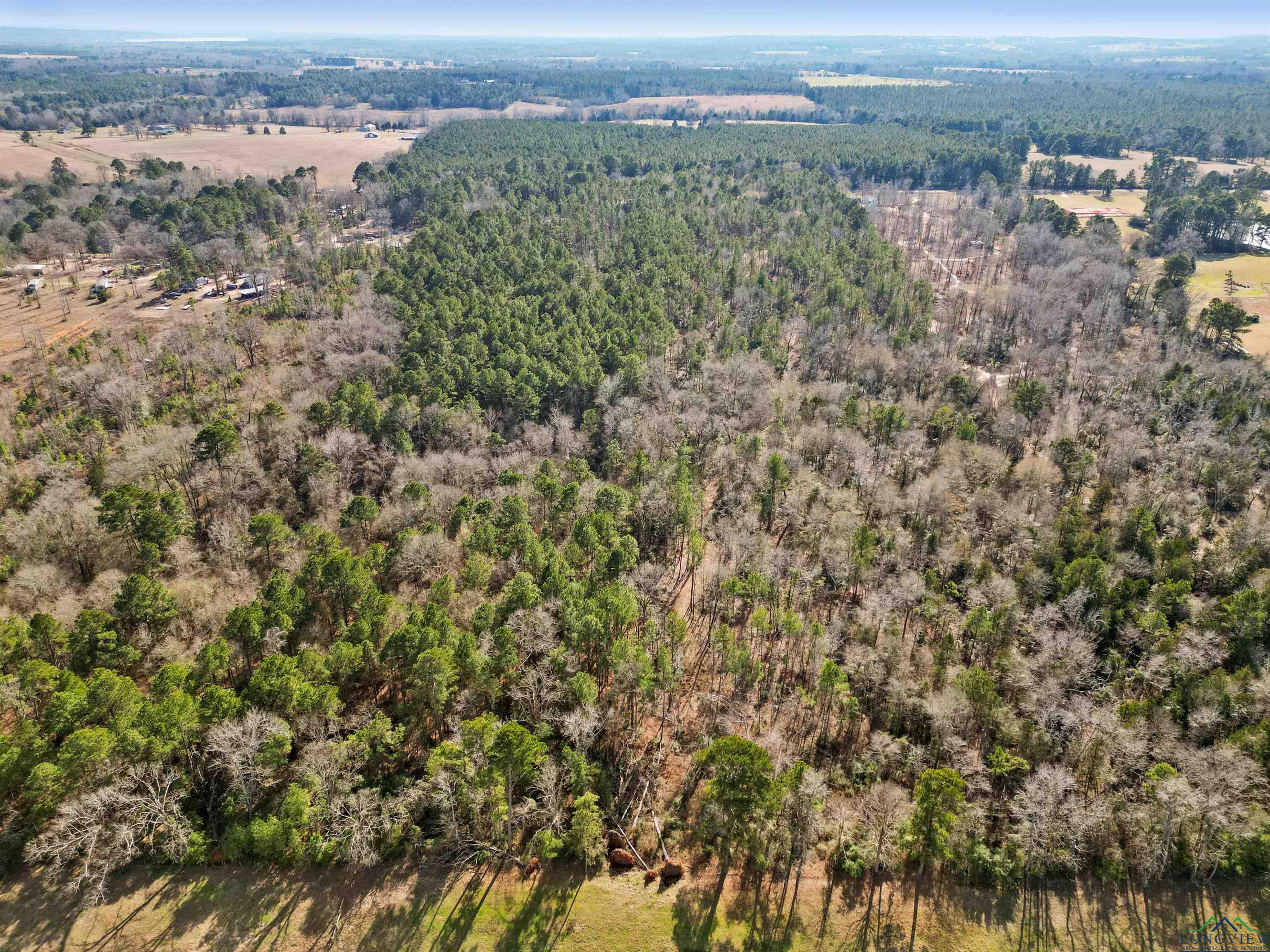 12076 Fm 2274, Troup, Texas image 7