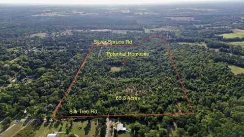 Vacant Land For Sale - TBD Silver Spruce Rd<br/> Upshur County, Gilmer, TX 75645