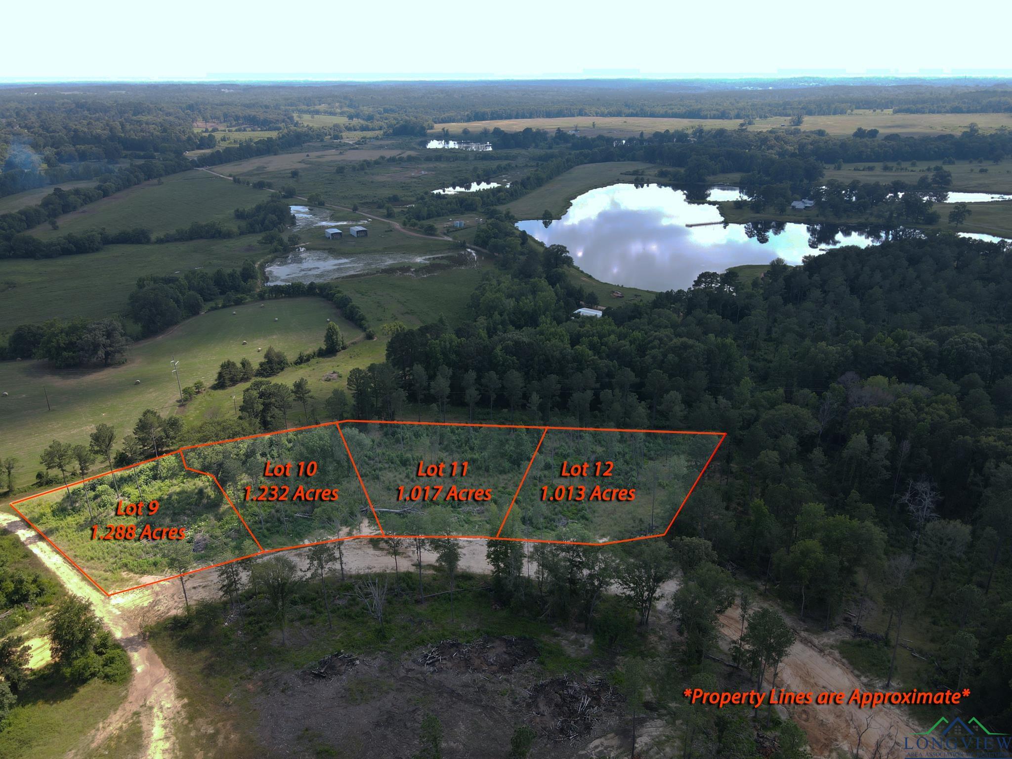 LOT 10 Southern Pines, Hallsville, Texas image 2