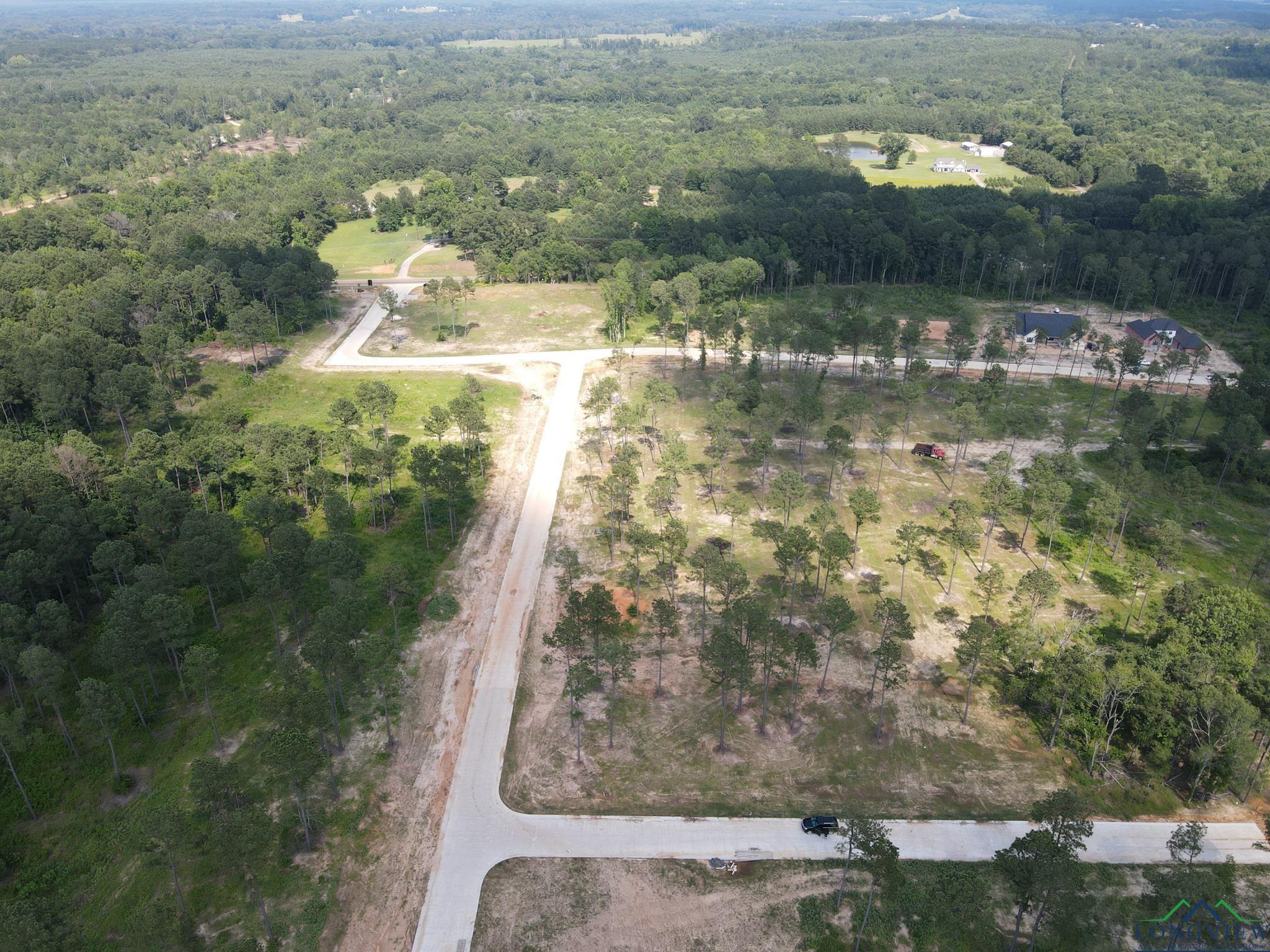 LOT 10 Southern Pines, Hallsville, Texas image 8