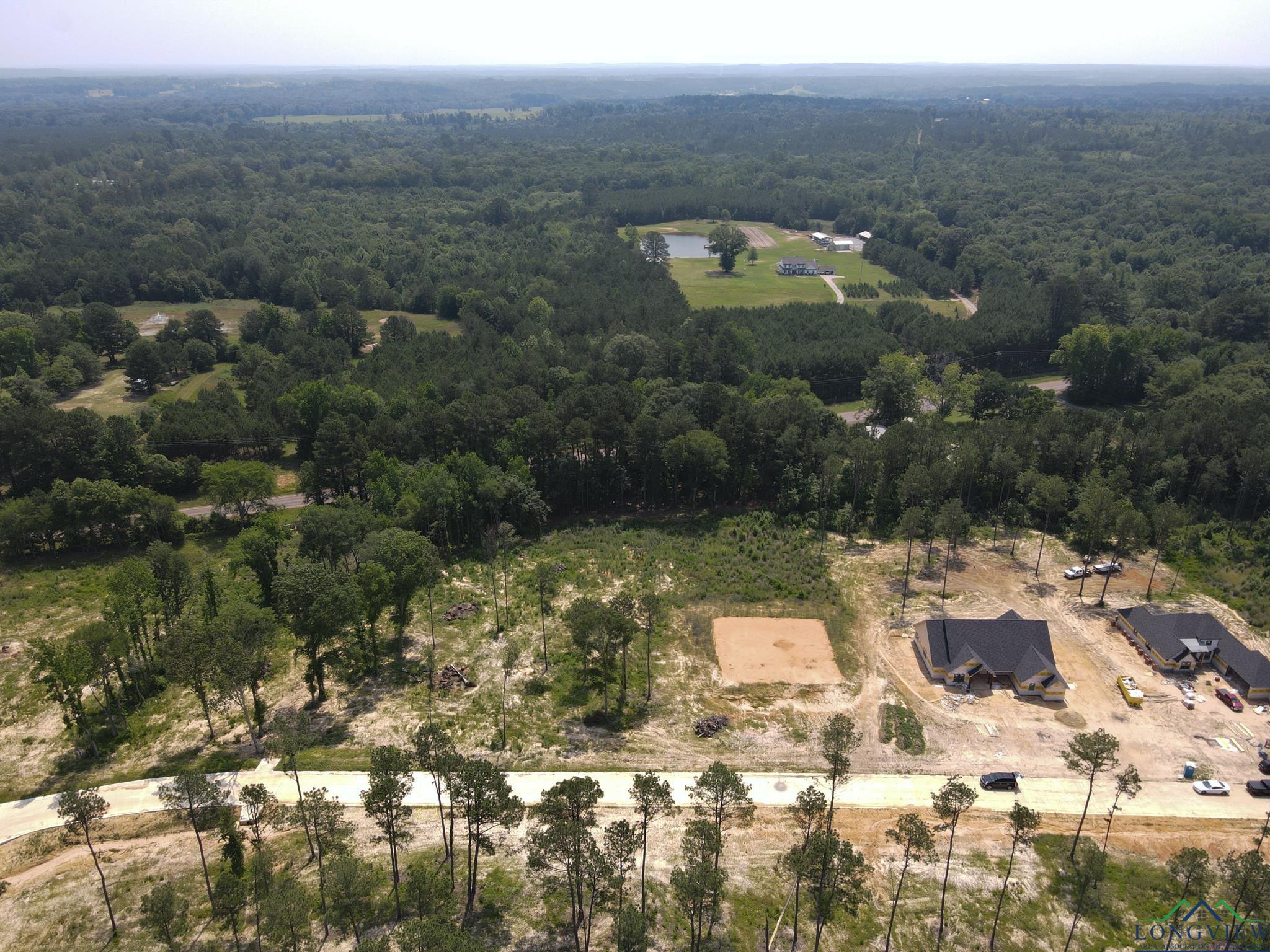 LOT 10 Southern Pines, Hallsville, Texas image 6