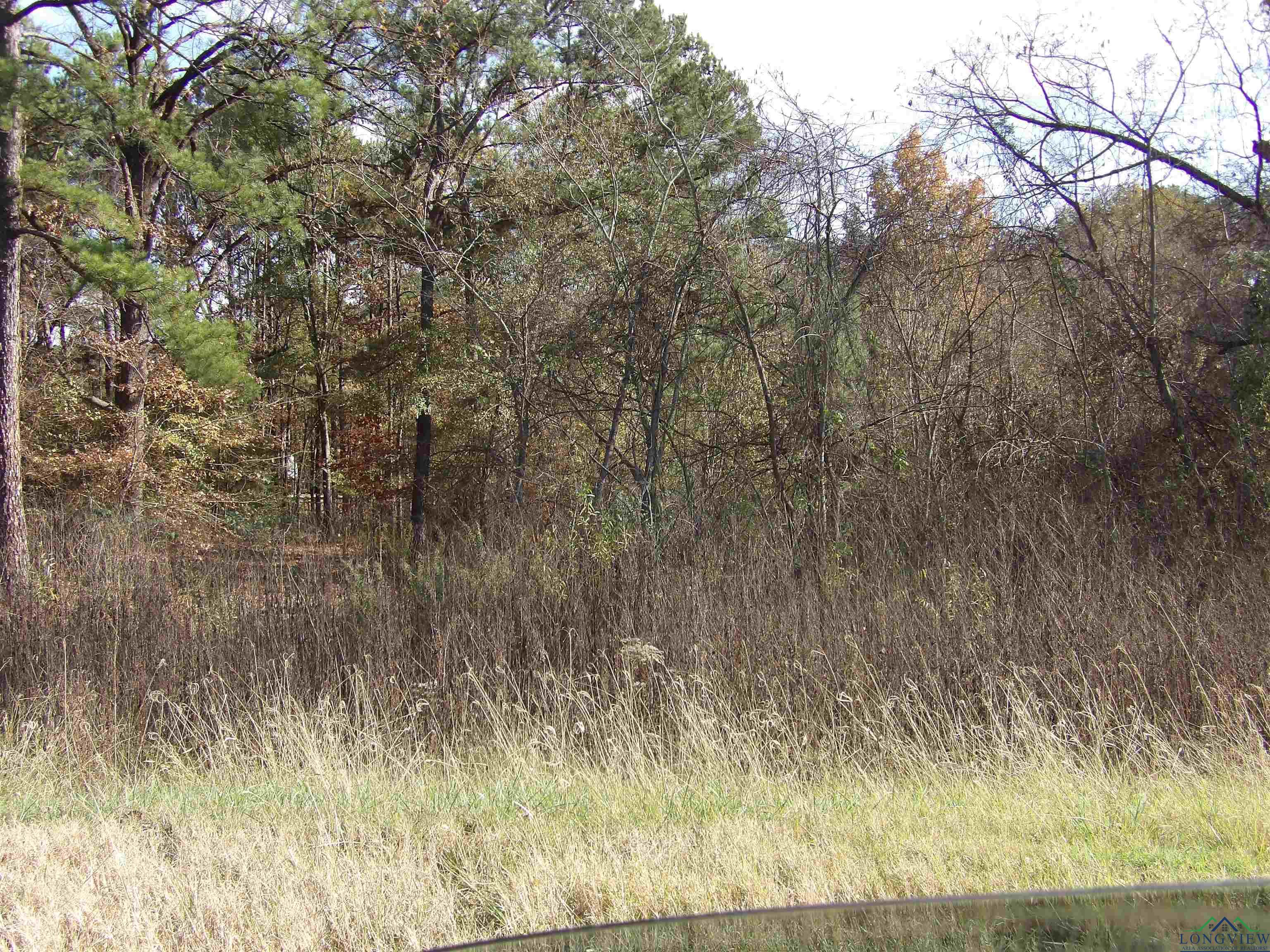 TBD Sandhill Ave, Easton, Texas image 1