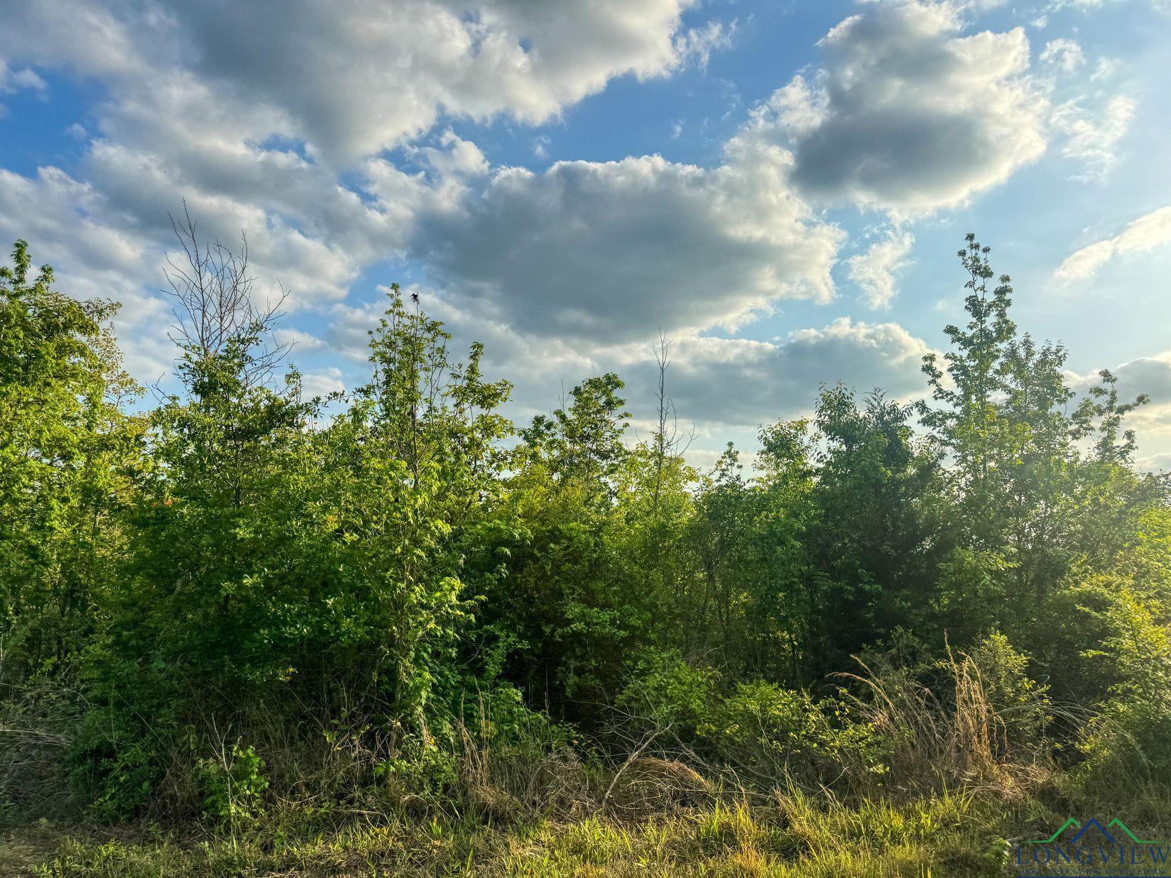 695 County Road 1463, Hughes Springs, Texas image 12