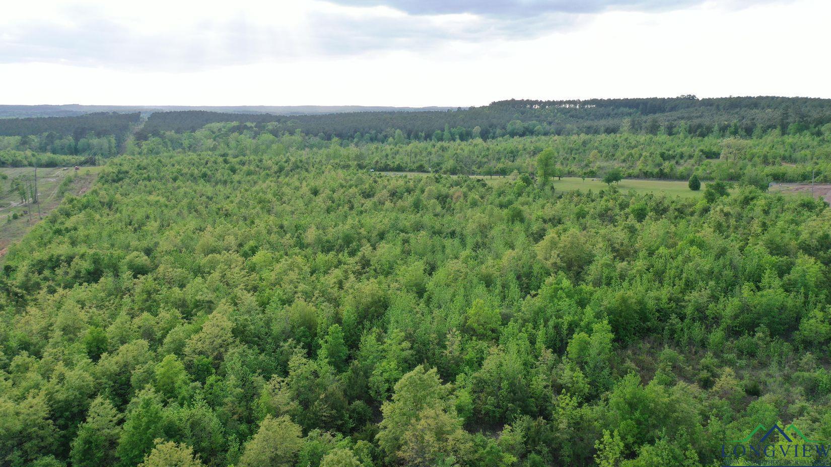 695 County Road 1463, Hughes Springs, Texas image 2