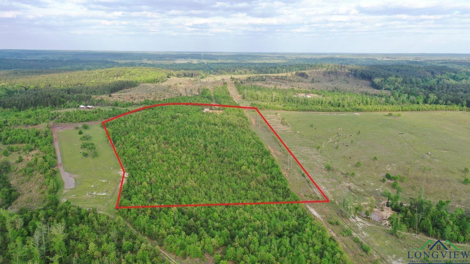 695 County Road 1463, Hughes Springs, Texas image 1