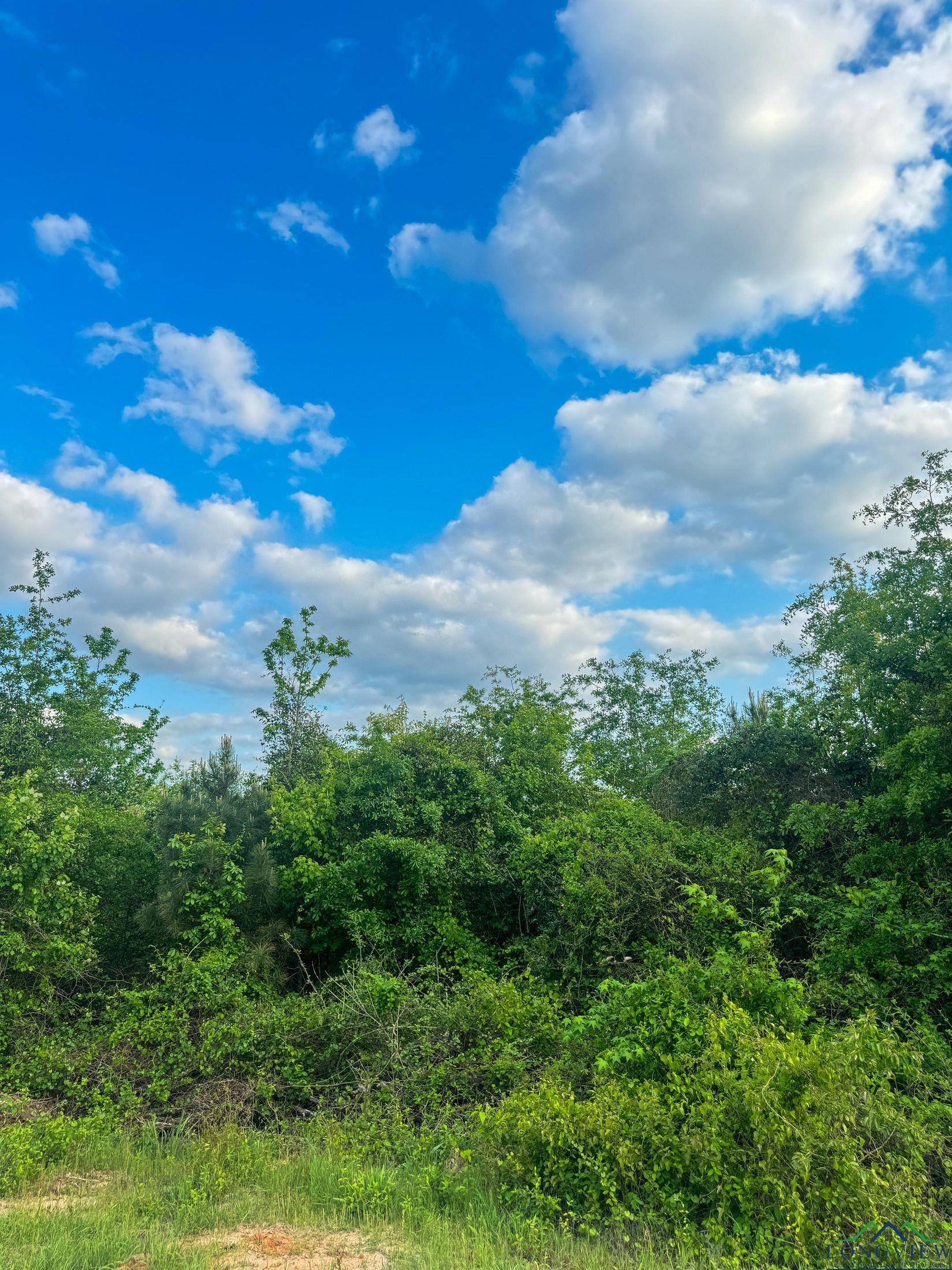 695 County Road 1463, Hughes Springs, Texas image 13