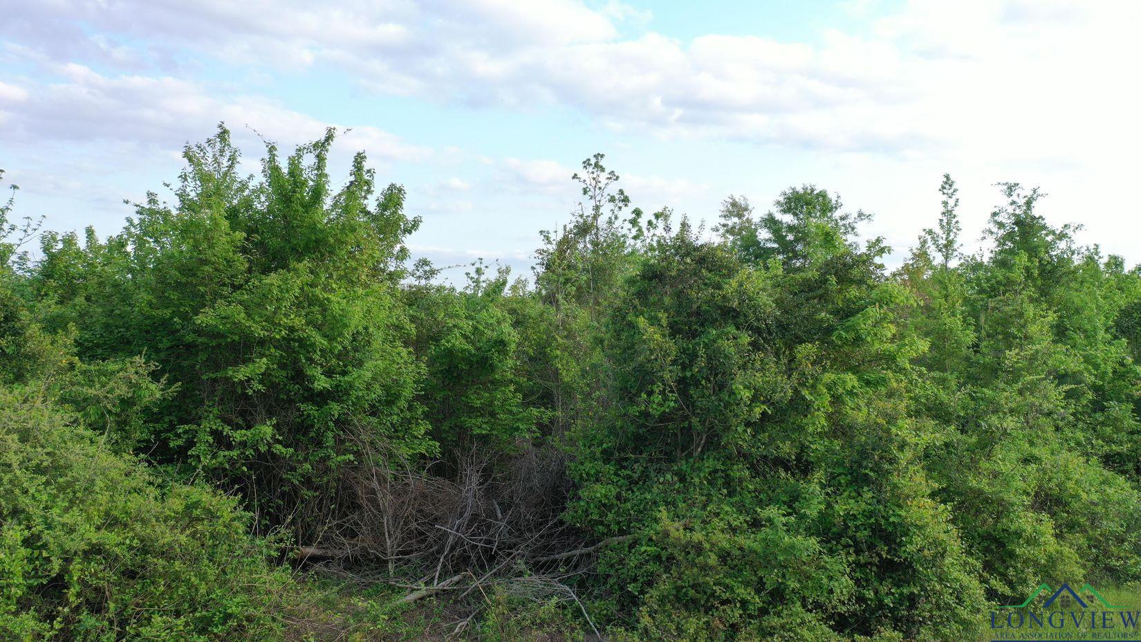 695 County Road 1463, Hughes Springs, Texas image 15
