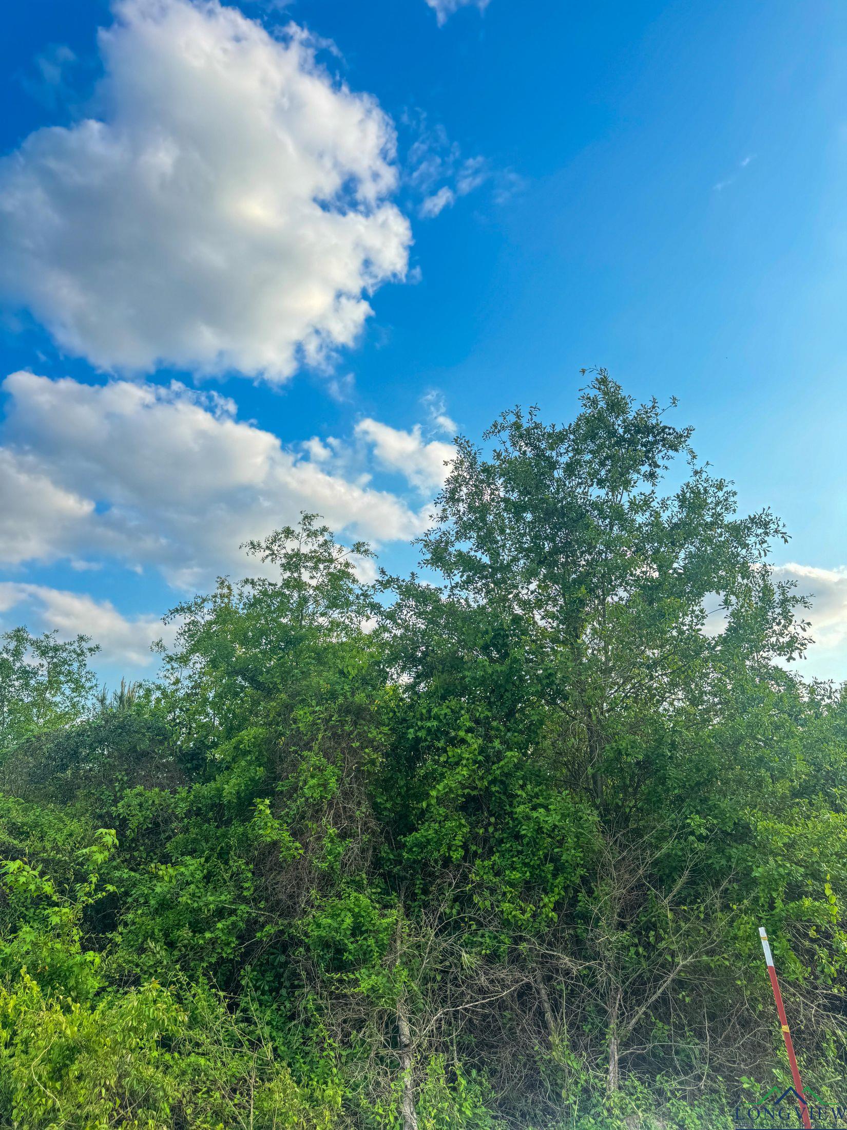695 County Road 1463, Hughes Springs, Texas image 18
