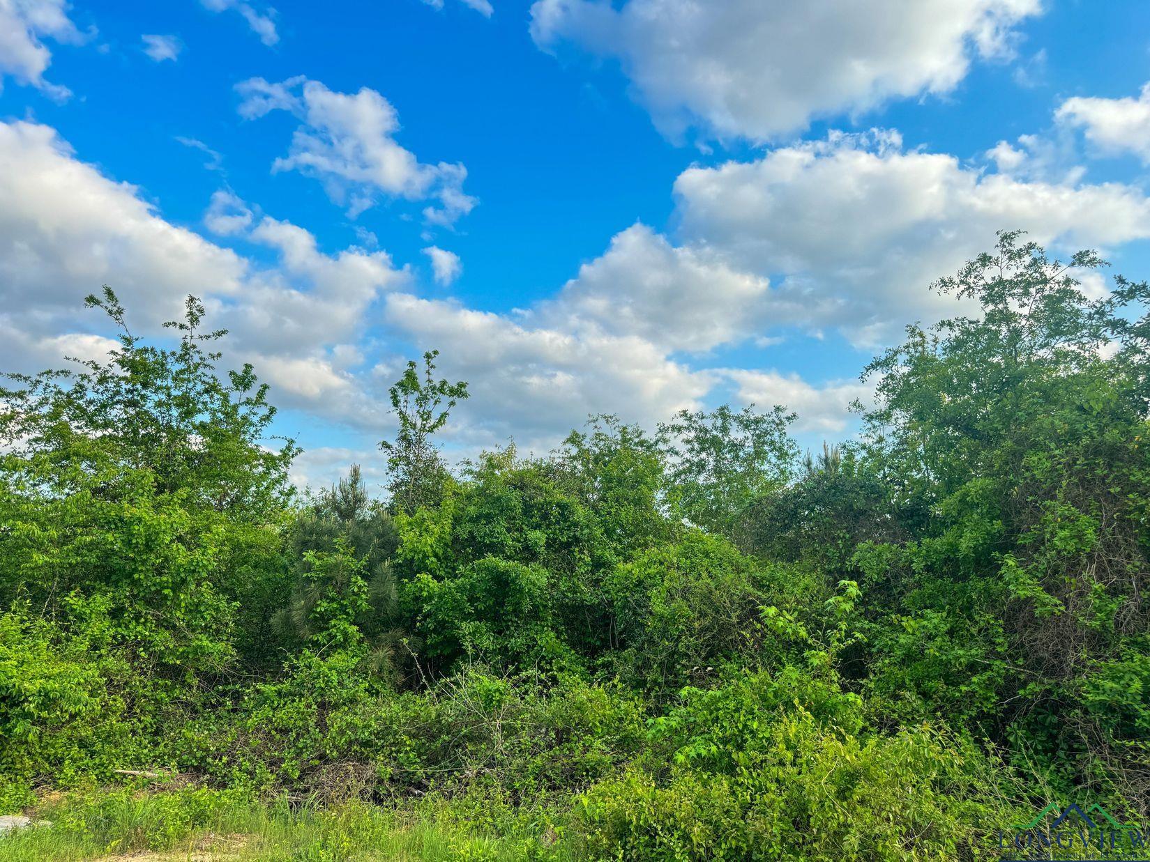 695 County Road 1463, Hughes Springs, Texas image 19
