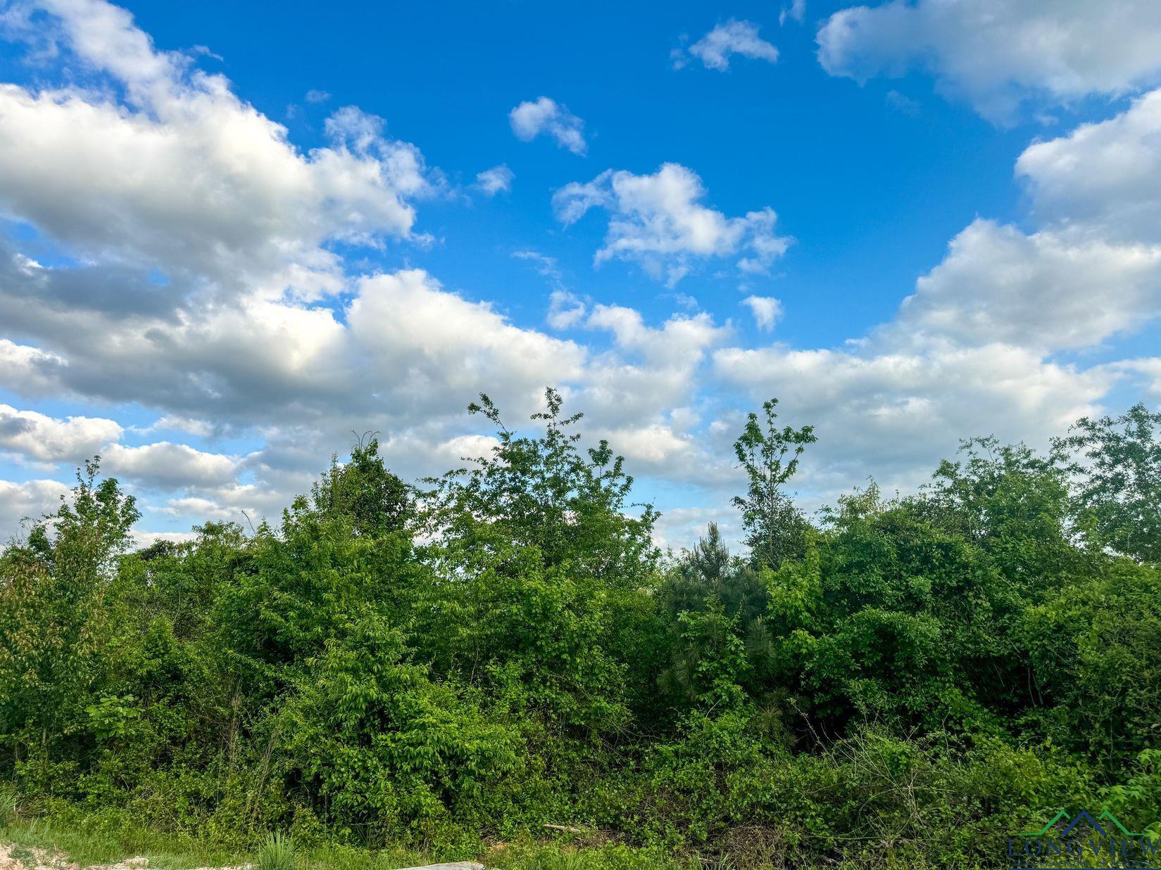 695 County Road 1463, Hughes Springs, Texas image 14