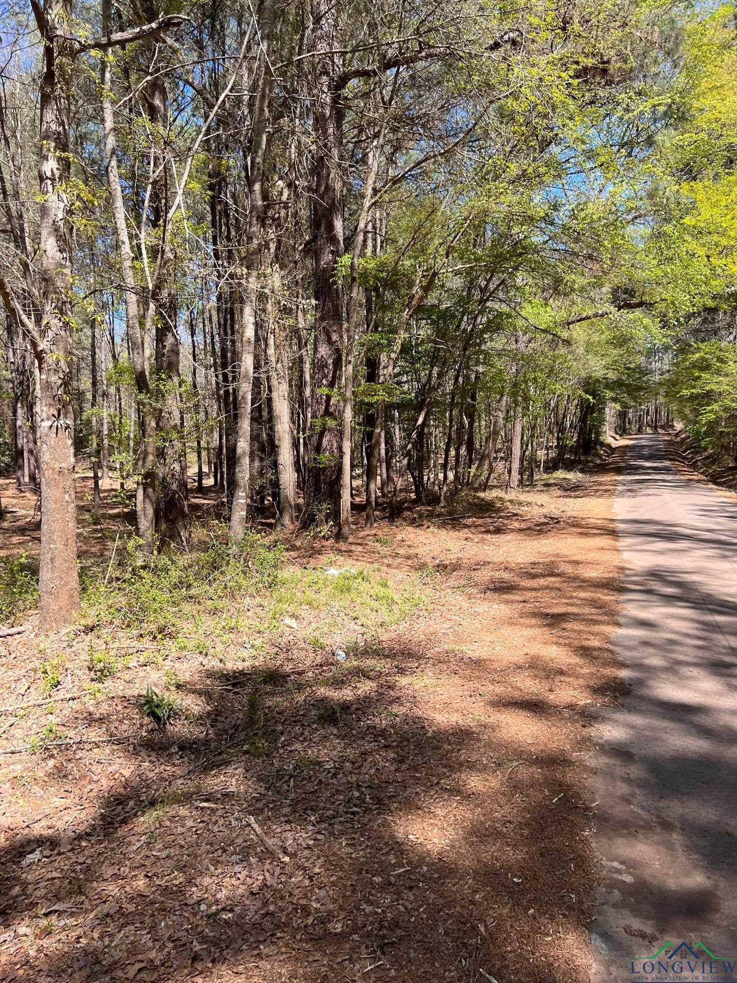 TBD County Road 1582, Avinger, Texas image 3