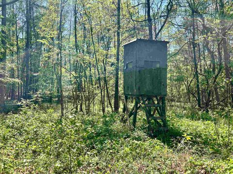 Vacant Land For Sale - TBD Sh 323<br/> Overton, TX 75684