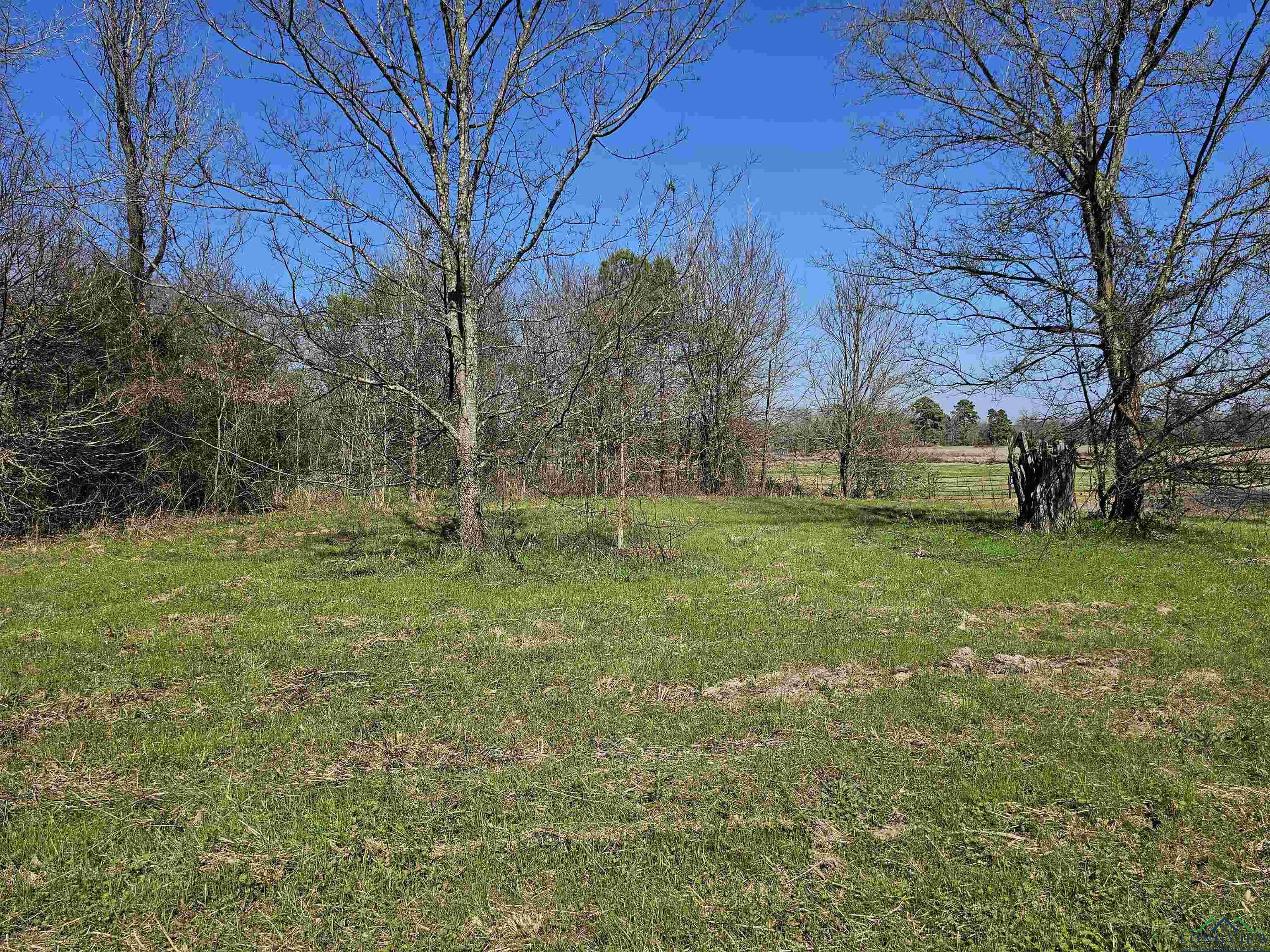 TBD Cr 1264, Pittsburg, Texas image 11