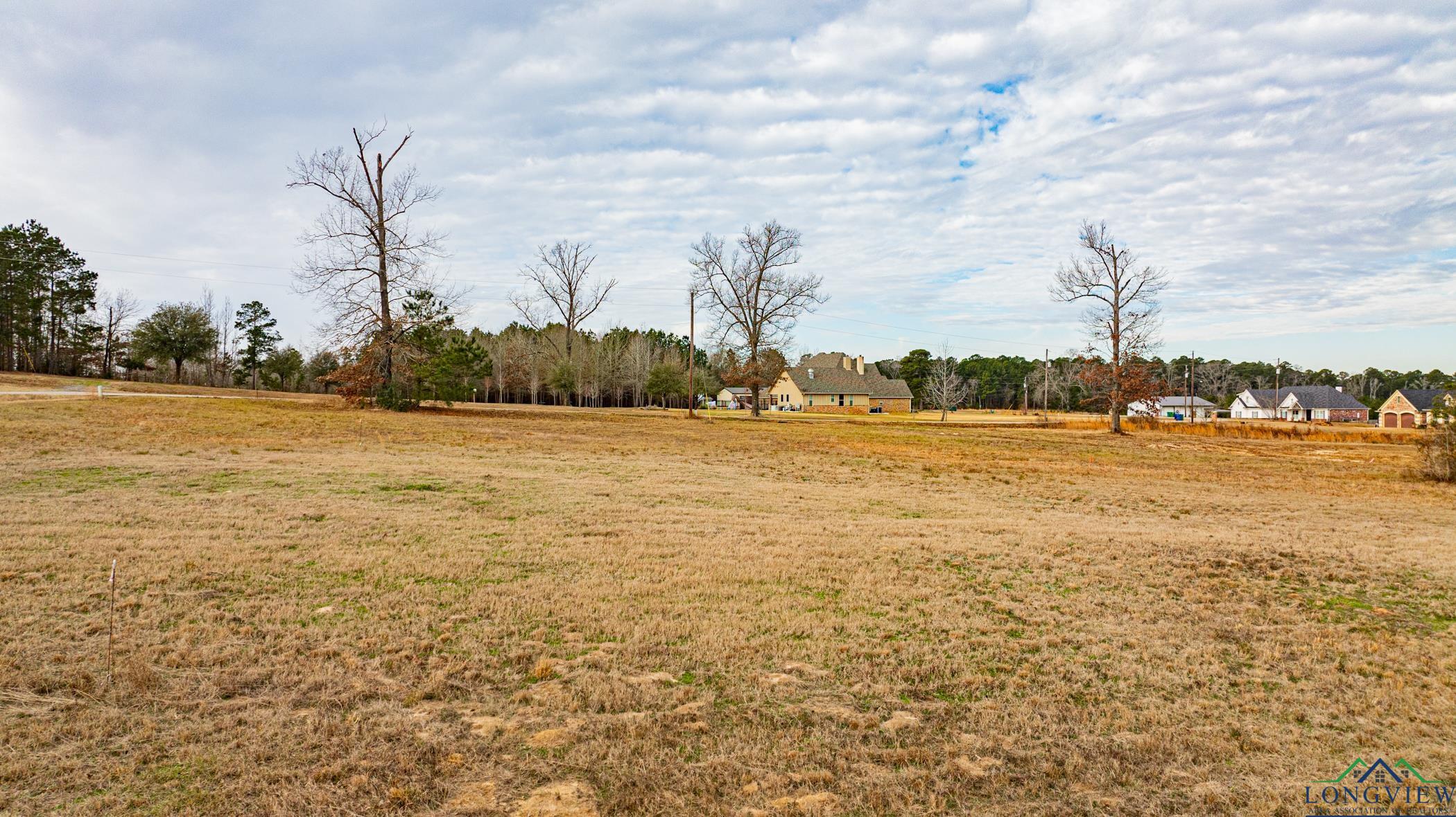 0000 Lot 69 & 70 Deerfield Farms Avenue, Longview, New Mexico image 9