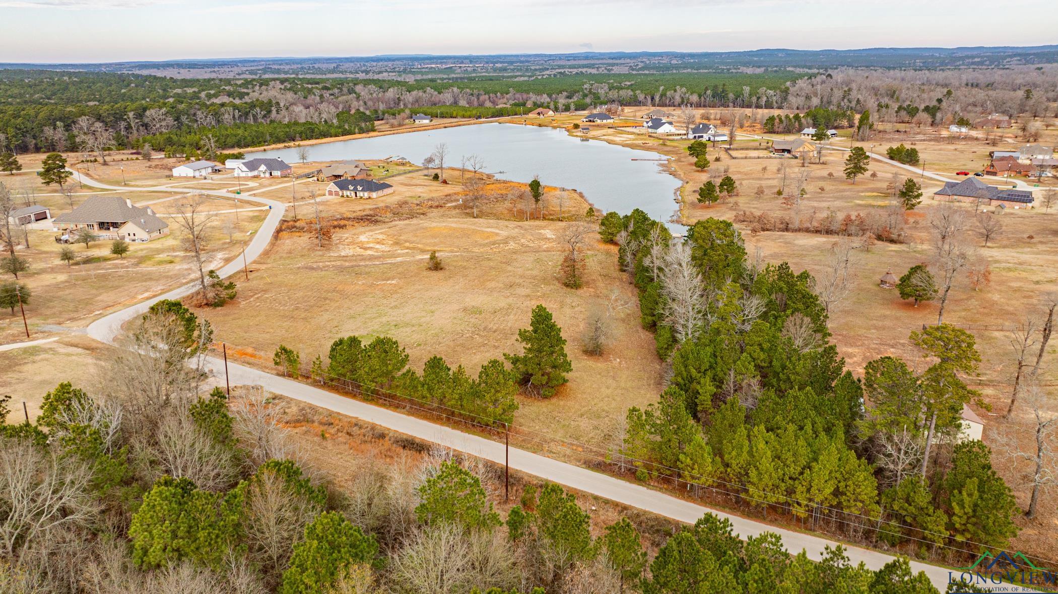 0000 Lot 69 & 70 Deerfield Farms Avenue, Longview, New Mexico image 16