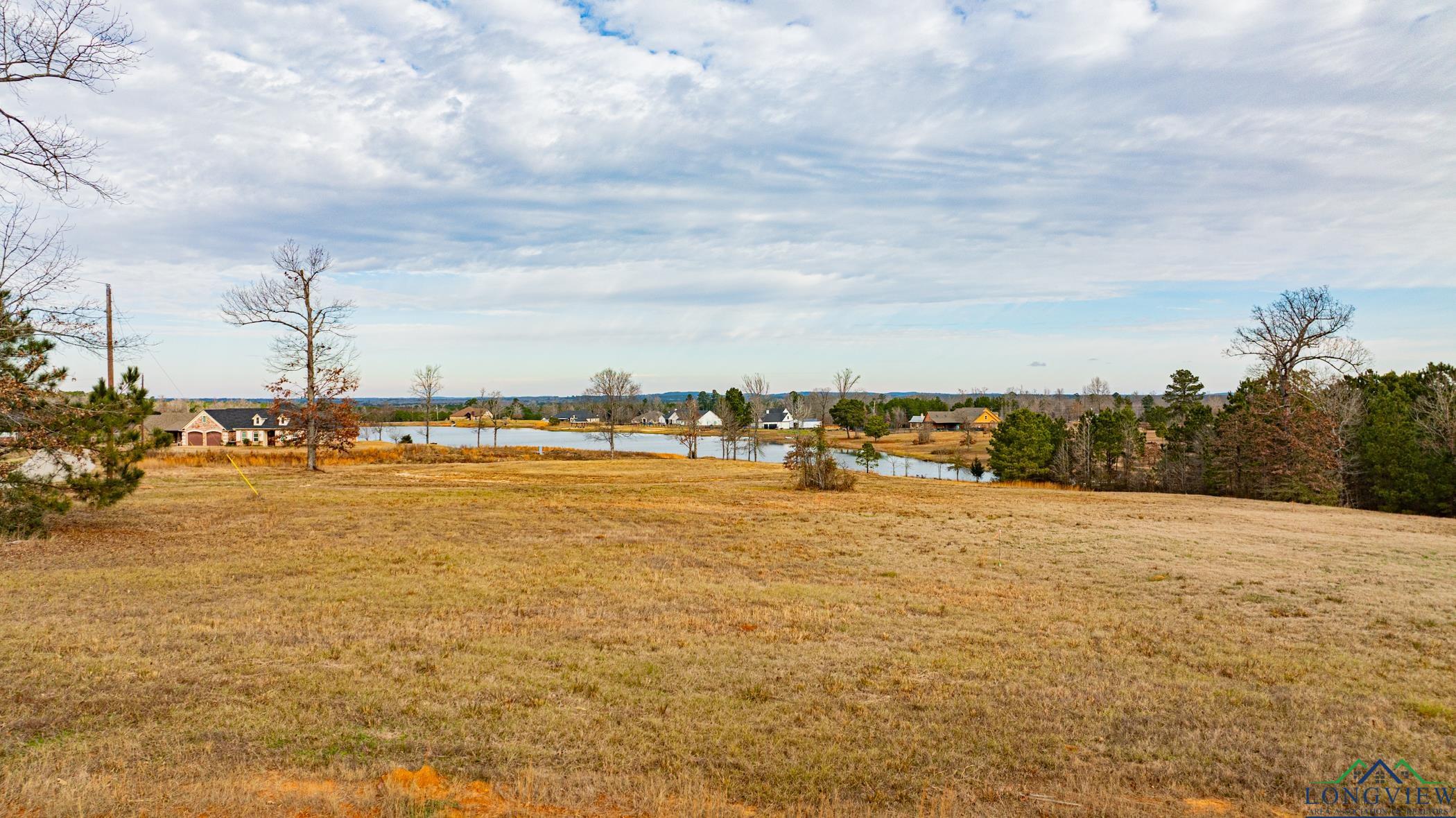 0000 Lot 69 & 70 Deerfield Farms Avenue, Longview, New Mexico image 3