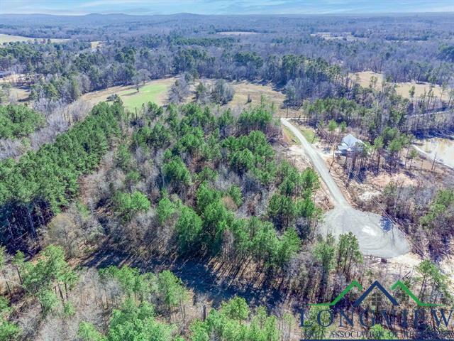 LOT #4 Tbd Bluebird Rd, Gilmer, Texas image 11