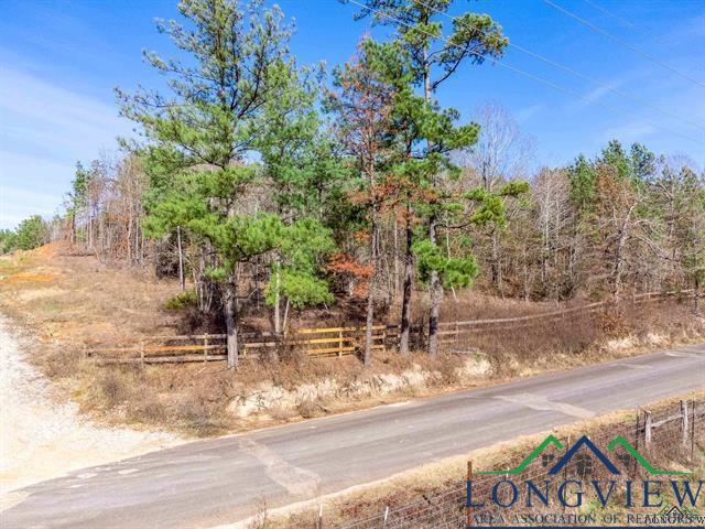 LOT #4 Tbd Bluebird Rd, Gilmer, Texas image 7