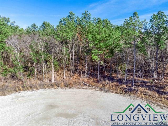 LOT #4 Tbd Bluebird Rd, Gilmer, Texas image 1