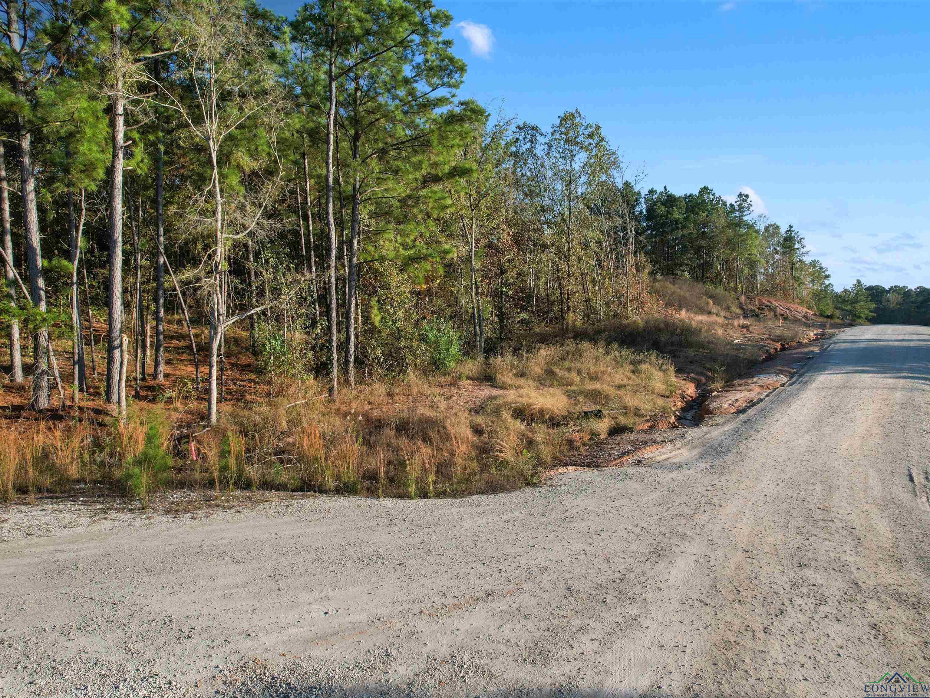 LOT #4 Tbd Bluebird Rd, Gilmer, Texas image 2