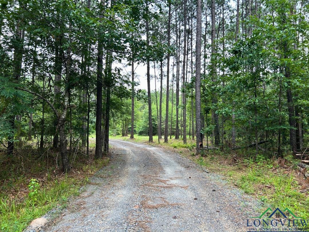 TBD 26.5 Ac Boggy Rd, Waskom, Texas image 11