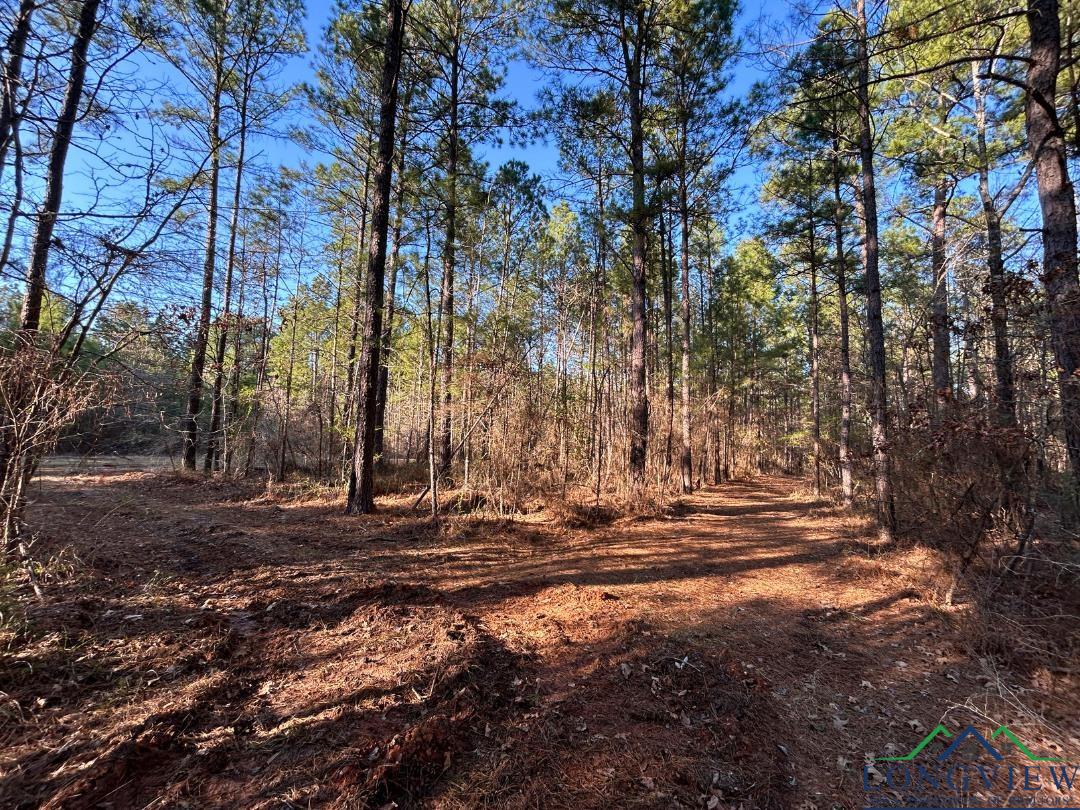 TBD 26.5 Ac Boggy Rd, Waskom, Texas image 6