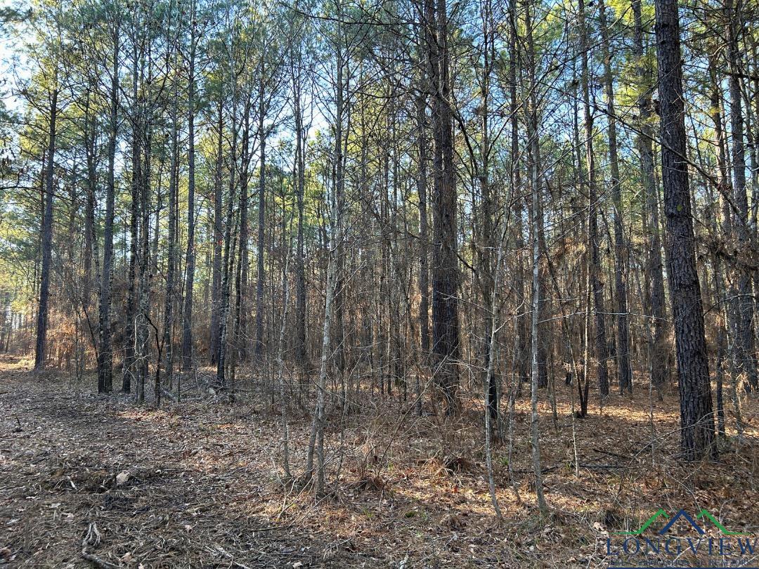TBD 26.5 Ac Boggy Rd, Waskom, Texas image 8