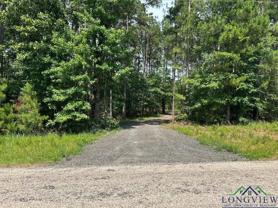 TBD 26.5 Ac Boggy Rd, Waskom, Texas image 10