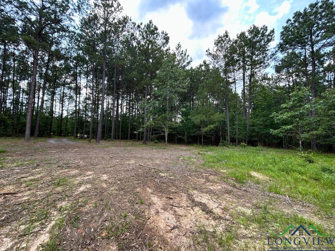 TBD 26.5 Ac Boggy Rd, Waskom, Texas image 5