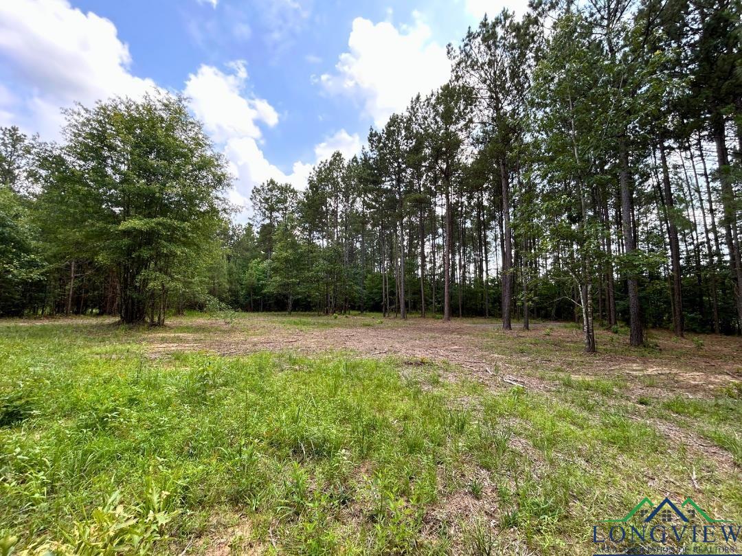 TBD 26.5 Ac Boggy Rd, Waskom, Texas image 3