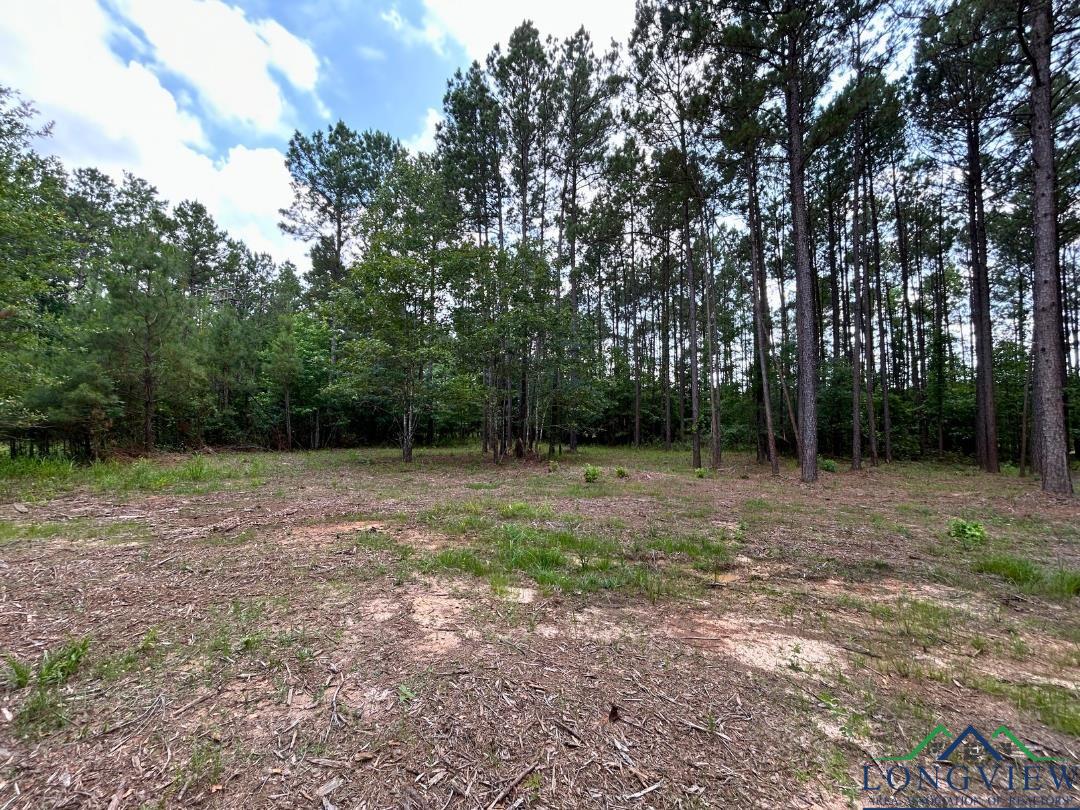 TBD 26.5 Ac Boggy Rd, Waskom, Texas image 4