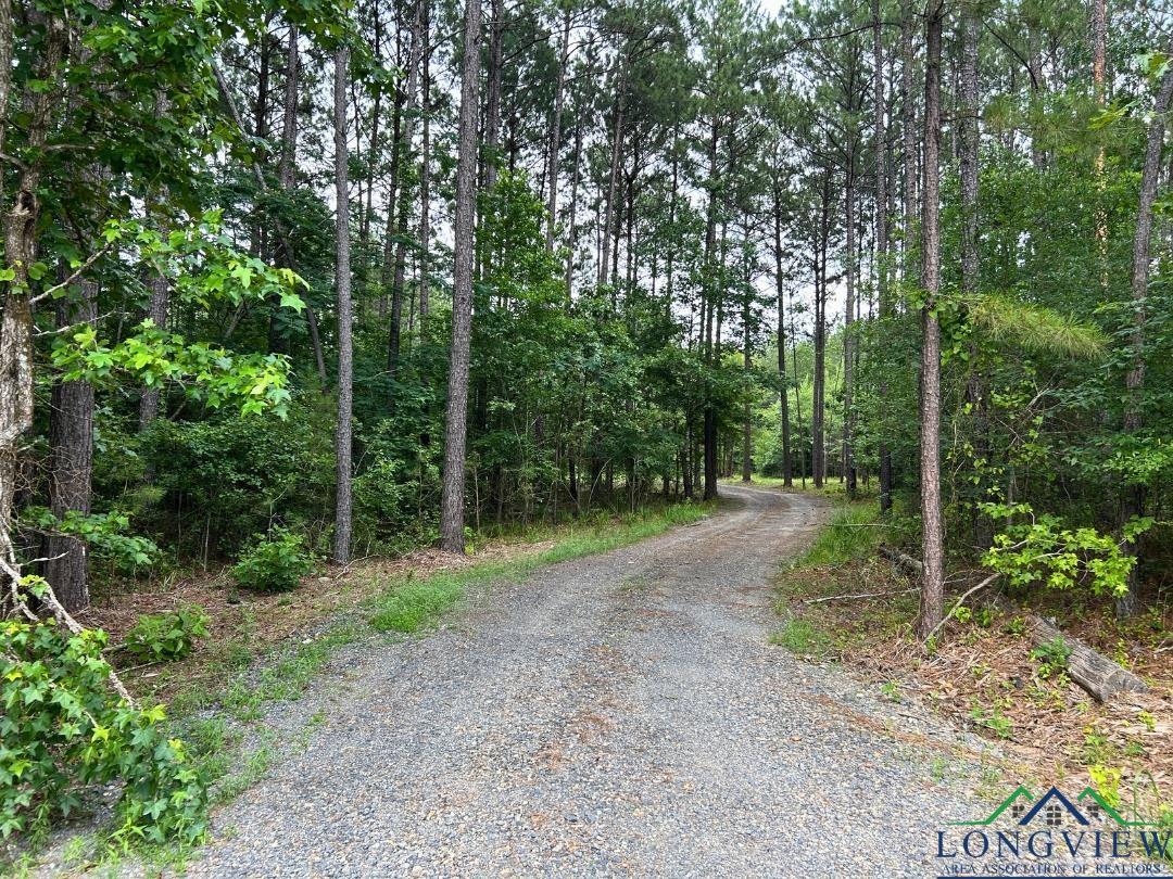 TBD 26.5 Ac Boggy Rd, Waskom, Texas image 1