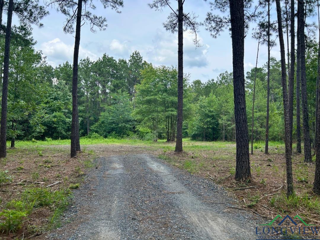 TBD 26.5 Ac Boggy Rd, Waskom, Texas image 2