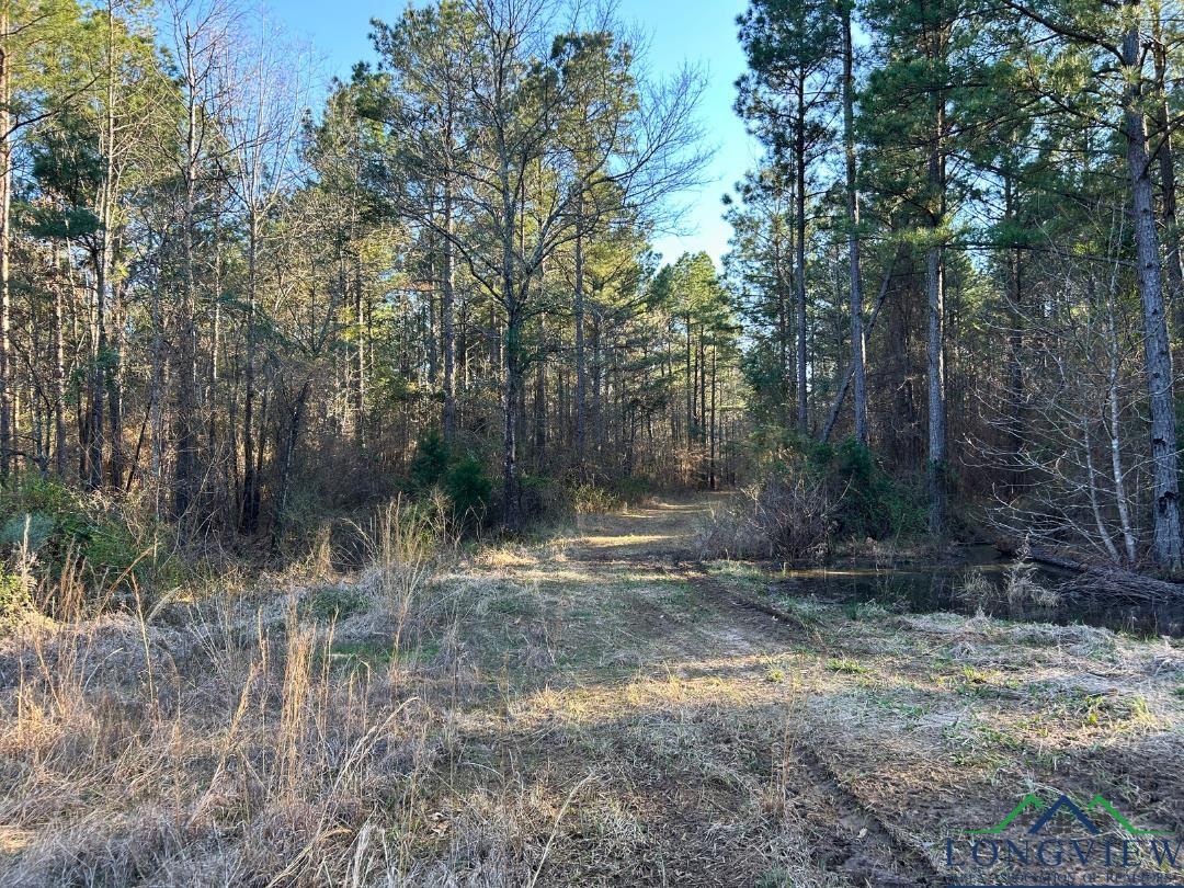 TBD 26.5 Ac Boggy Rd, Waskom, Texas image 7