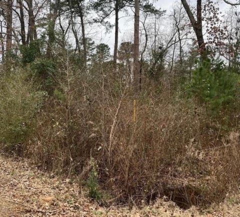 Vacant Land For Sale - TBD Arrowhead Dr<br/> Jefferson, TX 75657