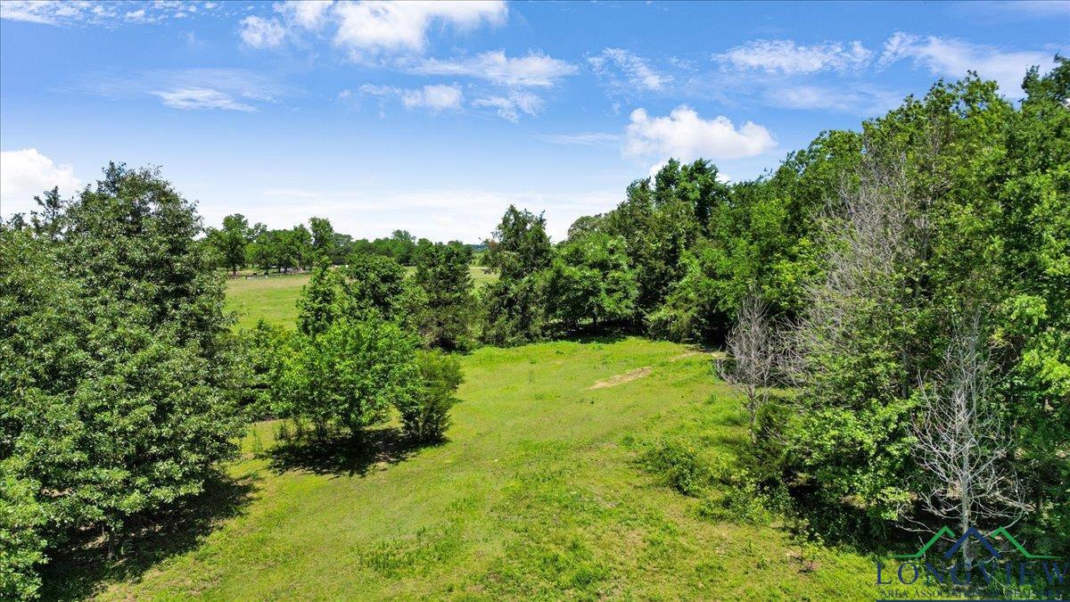 13591 Cr 420, Tyler, Texas image 42