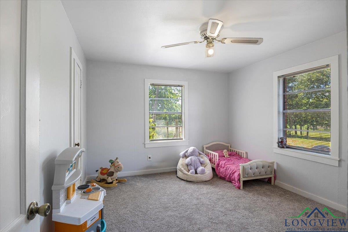 13591 Cr 420, Tyler, Texas image 22