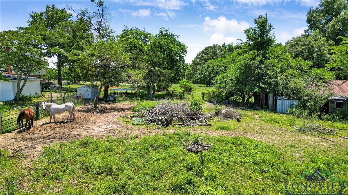 13591 Cr 420, Tyler, Texas image 43