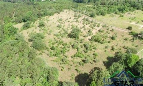 Vacant Land For Sale - TBD County Road 1242<br/> Douglassville, TX 75563