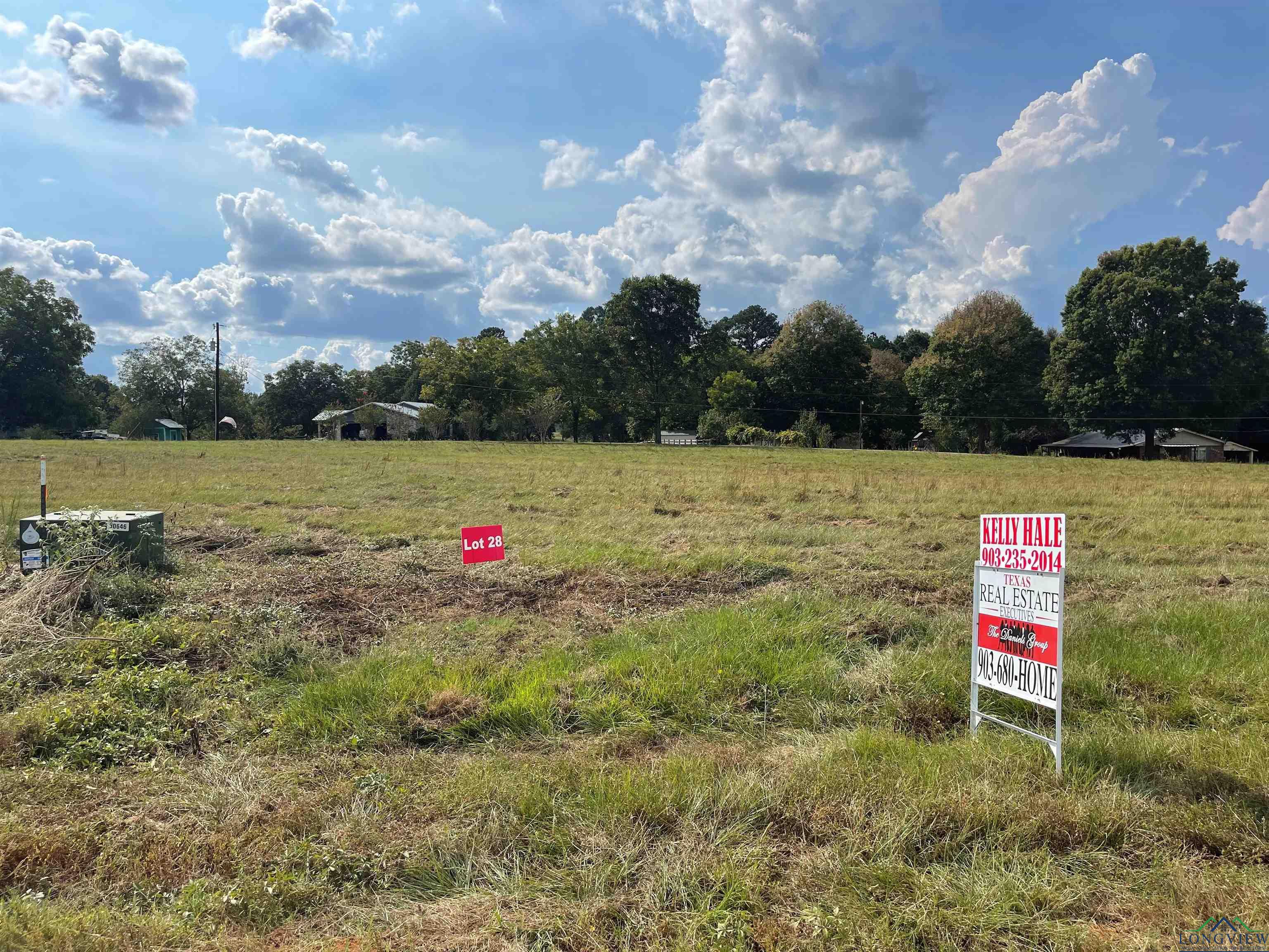 TBD Lot 28 Cr 2204 D & Fm 1797, Tatum, Texas image 4