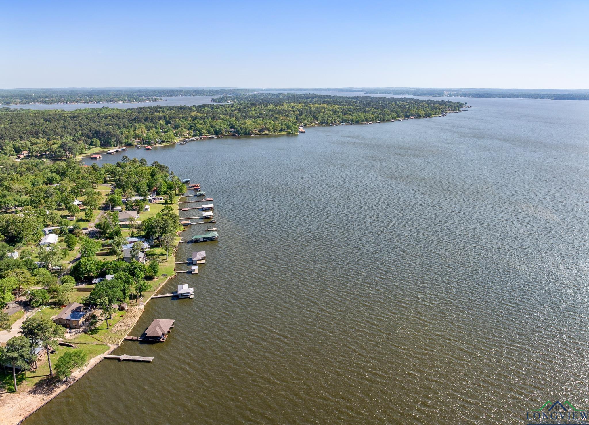 17138 Lakeview Dr, Flint, Texas image 11