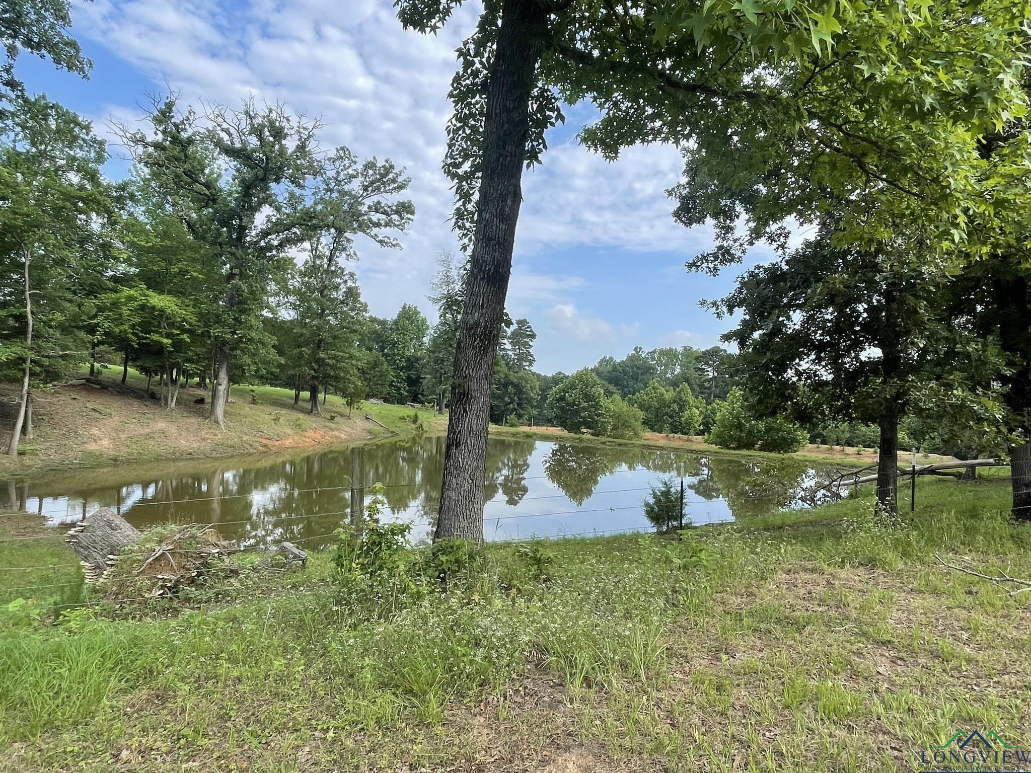 5897 Fm 2796, Gilmer, Texas image 50