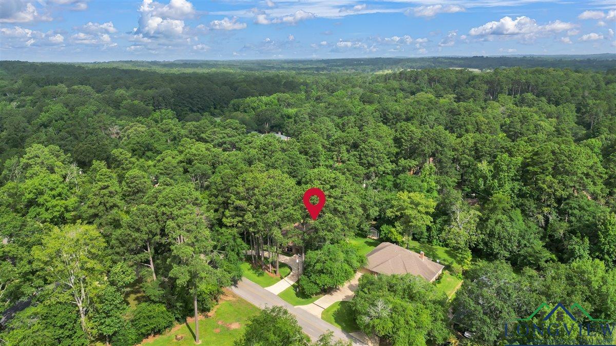 1529 Hideaway Lane West Ln, Hideaway, Texas image 49