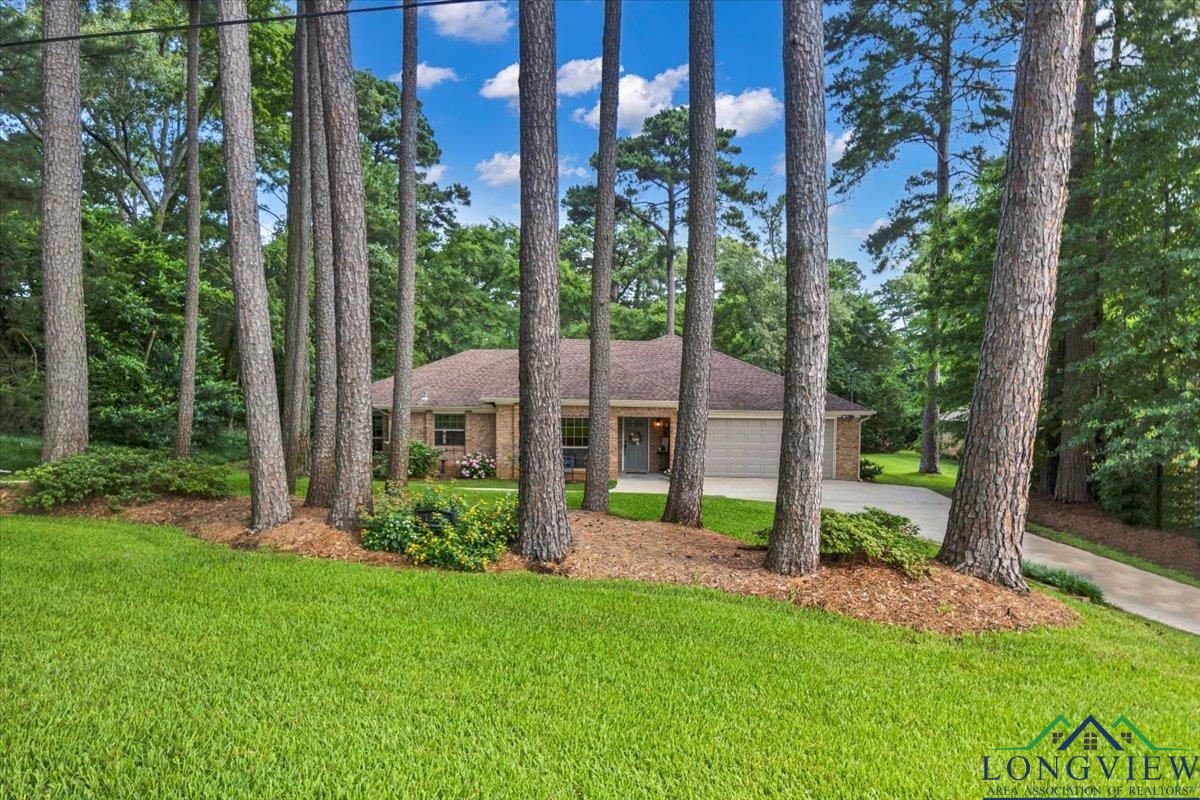 1529 Hideaway Lane West Ln, Hideaway, Texas image 3
